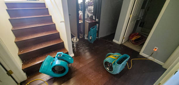 Best Fire Damage Restoration  in Brice Prairie, WI
