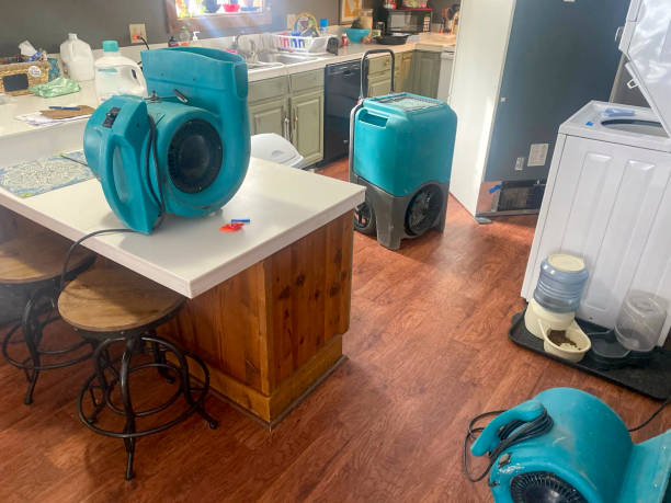  Brice Prairie, WI Water damage restoration Pros