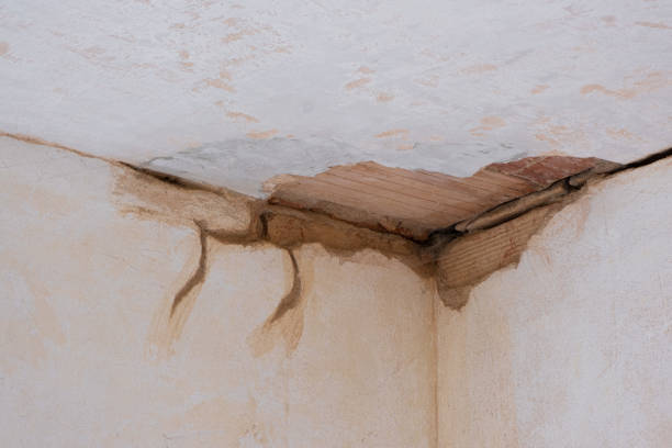Best Flood restoration services  in Brice Prairie, WI