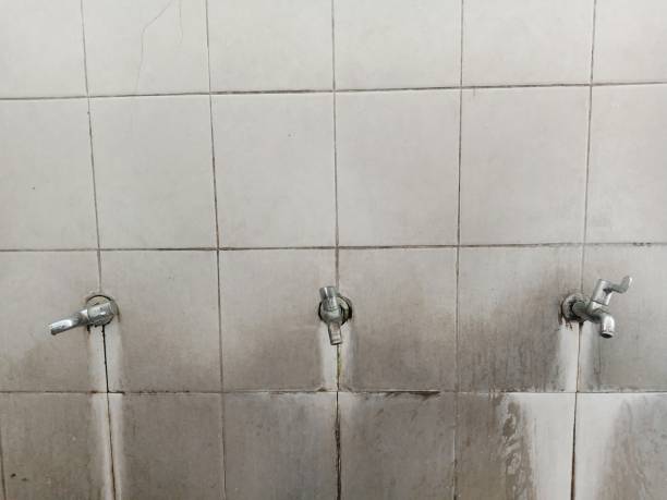 Best Flooded house restoration  in Brice Prairie, WI