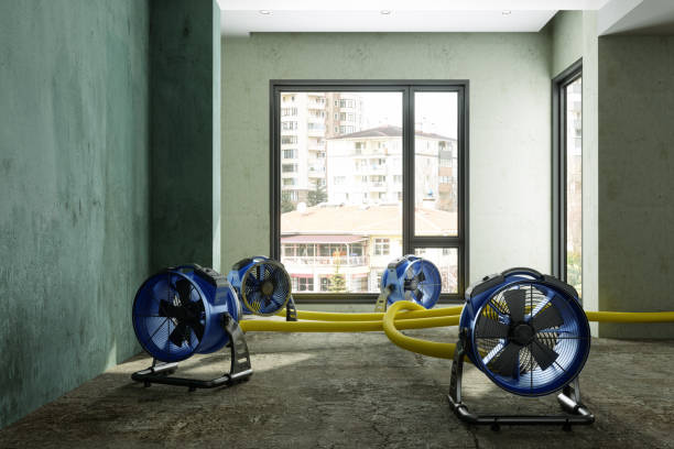Best Professional water damage repair  in Brice Prairie, WI